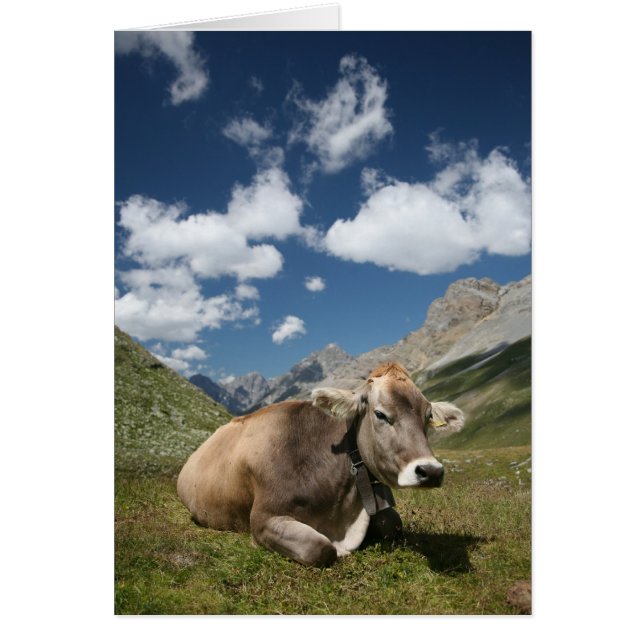 Kon betar in hälsningskort (Framsidan)