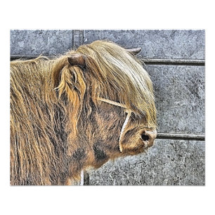 KÖN FOTOTRYCK