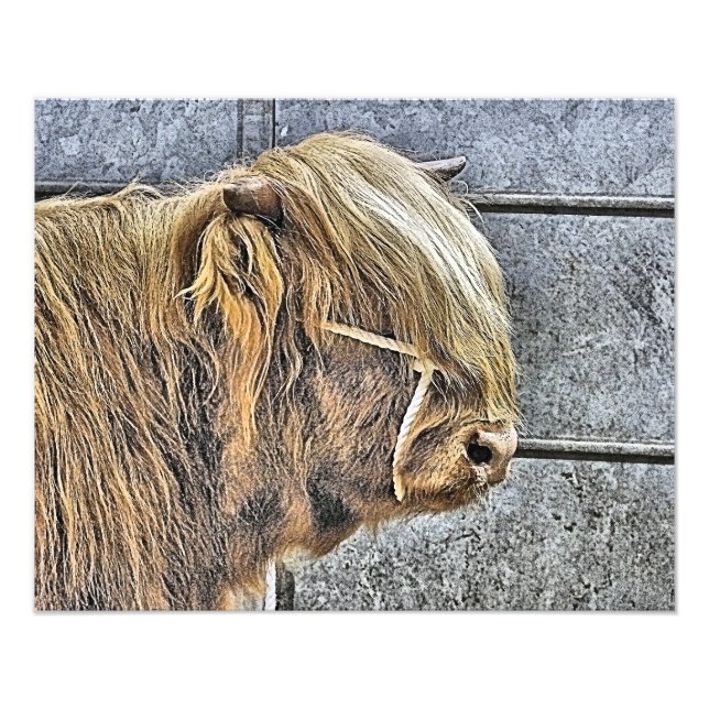 KÖN FOTOTRYCK (Framsidan)