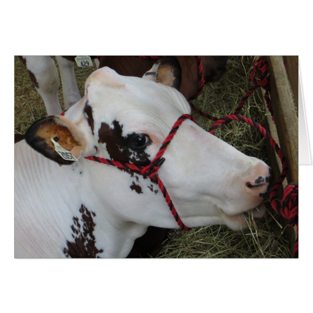 Kon Hälsningskort (Framsidan Horizontal)