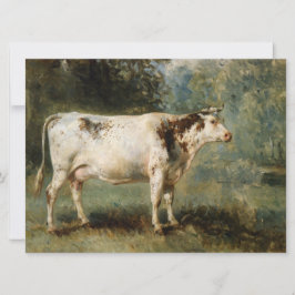 Kon i ett landskap på landsbygden (husdjur) kort