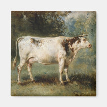 Kon i ett landskap på landsbygden (husdjur)