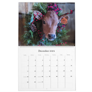 Kon- och kalkylkalender från Chase's Organic Dairy Kalender