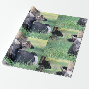 Kon Presentpapper