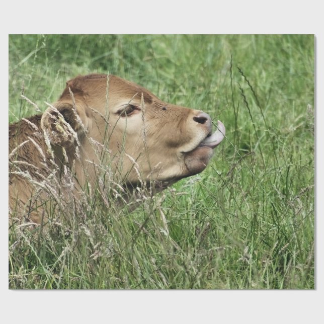 KÖN PRESENTPAPPER (Platt)