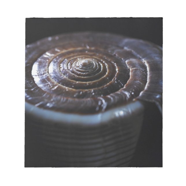 Kon-snäcka Anteckningsblock (Framsida)