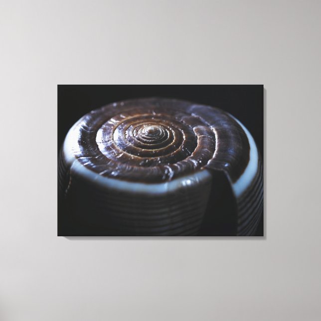 Kon-snäcka Canvastryck (Framsida)