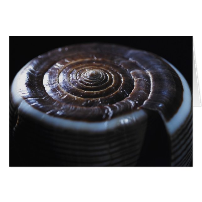 Kon-snäcka Hälsningskort (Framsidan Horizontal)