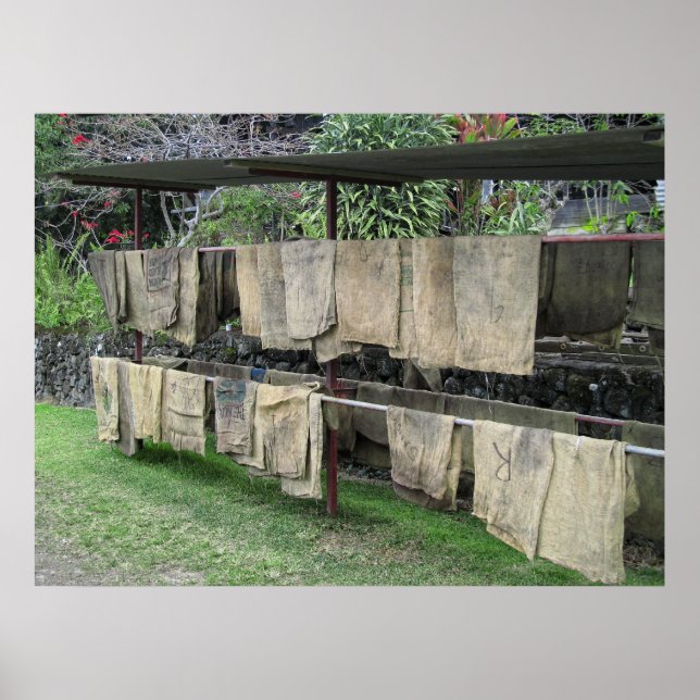 KONA COFFEE BAGS DRY on RACK - HAWAII Poster (Framsidan)