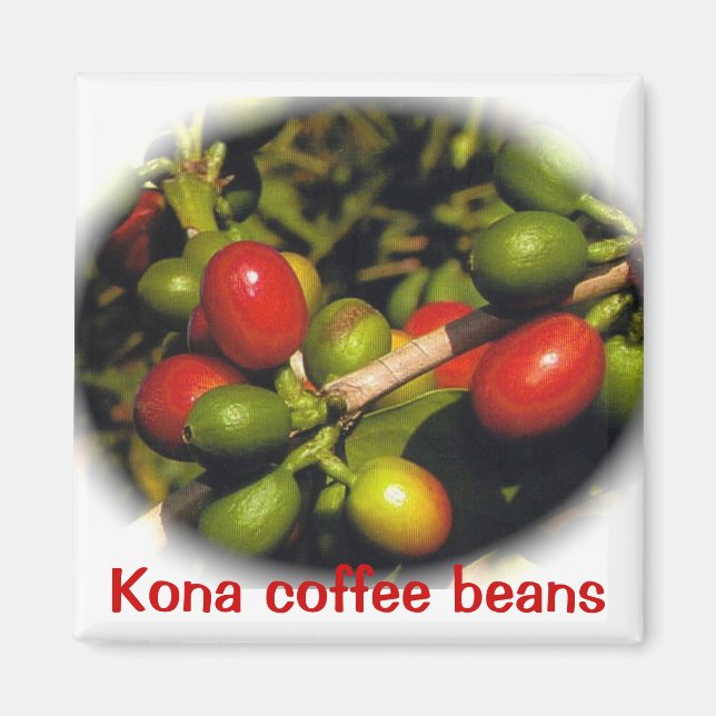 Kona Coffee Beans Magnet (Framsidan)
