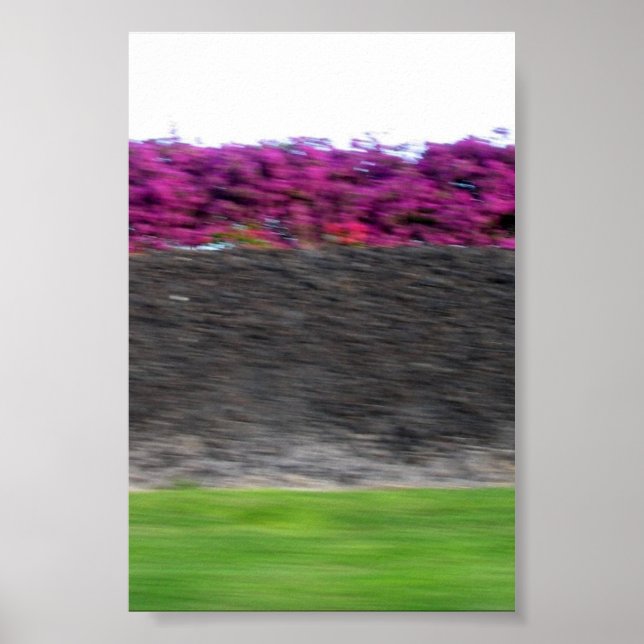 kona färg poster (Framsidan)