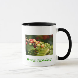 Kona kaffe mugg