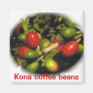 Kona kaffebönor magnet
