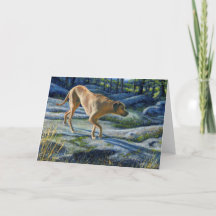 "Kona på Granite Trail"