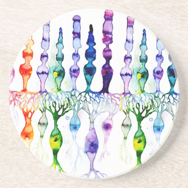 Konceller, stavceller och bipolär neurond av näthi underlägg (Framsidan)