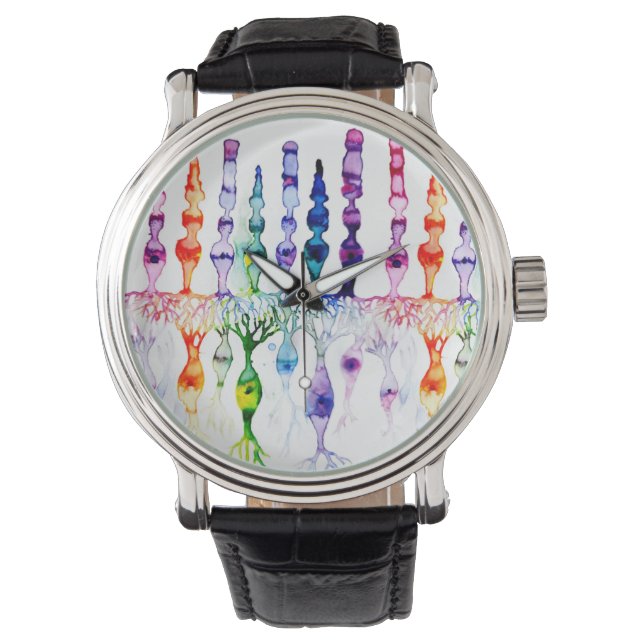 Konceller, stavceller och bipolär neurond av retin armbandsur (Framsida)