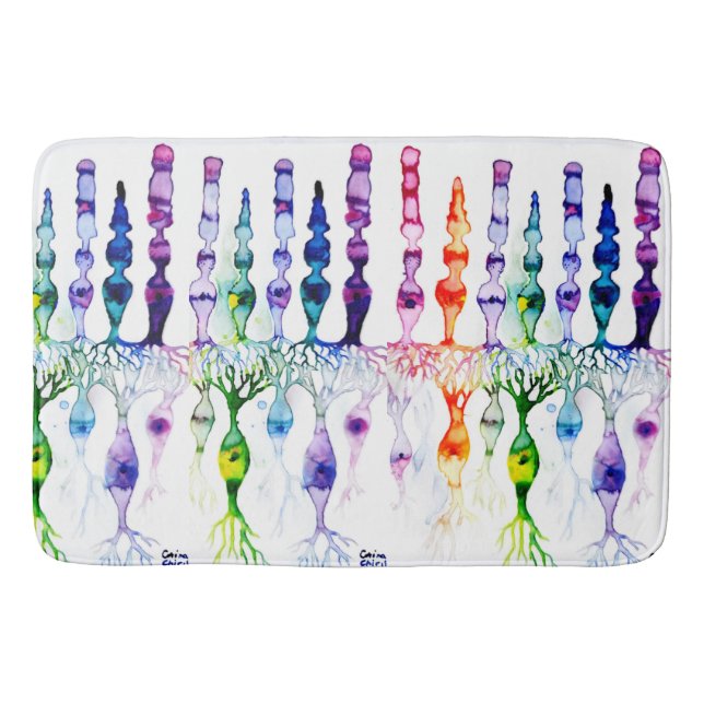 Konceller, stavceller och bipolär neurond av retin badrumsmatta (Framsidan)