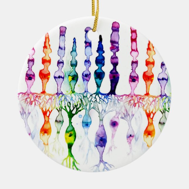 Konceller, stavceller och bipolär neurond av retin julgransprydnad keramik (Framsidan)