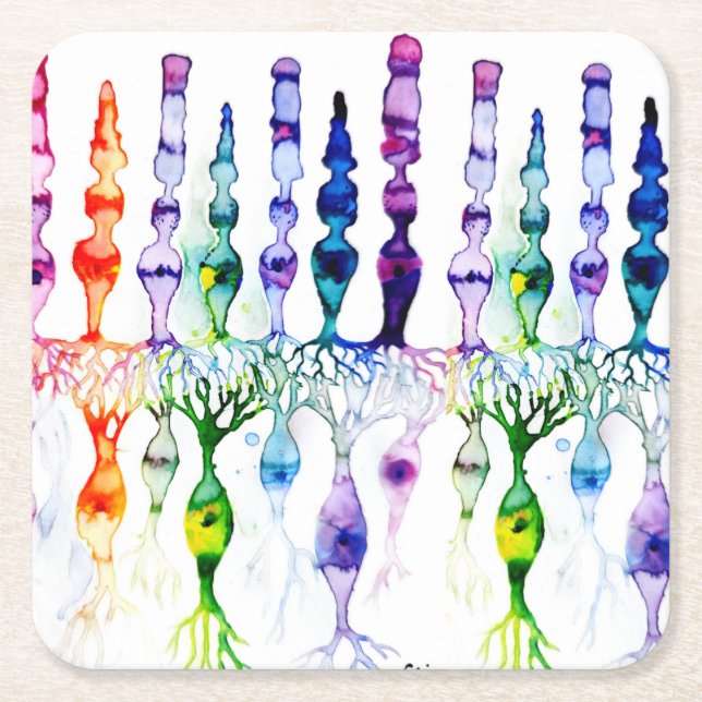 Konceller, stavceller och bipolär neurond av retin underlägg papper kvadrat (Framsidan)