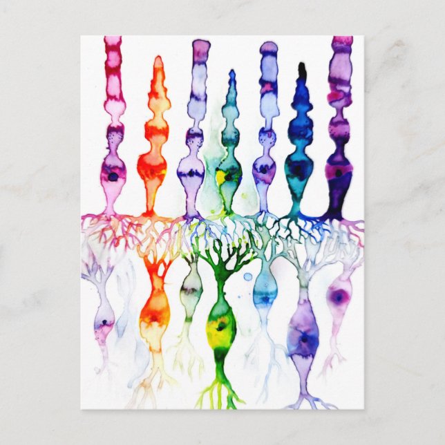 Konceller, stavceller och bipolär neurond av retin vykort (Framsida)