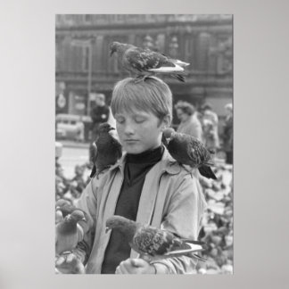 Koncentration för en ung St. Francis 1968 Poster