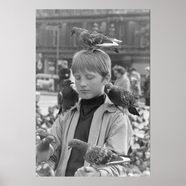 Koncentration för en ung St. Francis 1968 Poster (Framsidan)