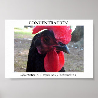 Koncentration Poster