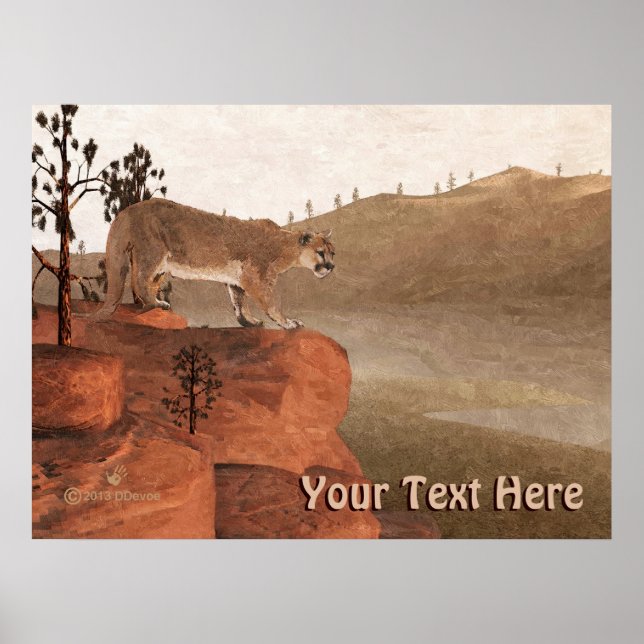 Koncentration - Socker Poster (Framsidan)