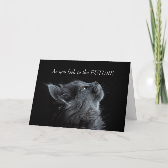 Koncentrationer på Studenten Cute Cat Kort (Framsida)