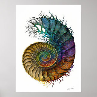 Koncept Ammonite Fossil i pulserande Bläck Färg Poster