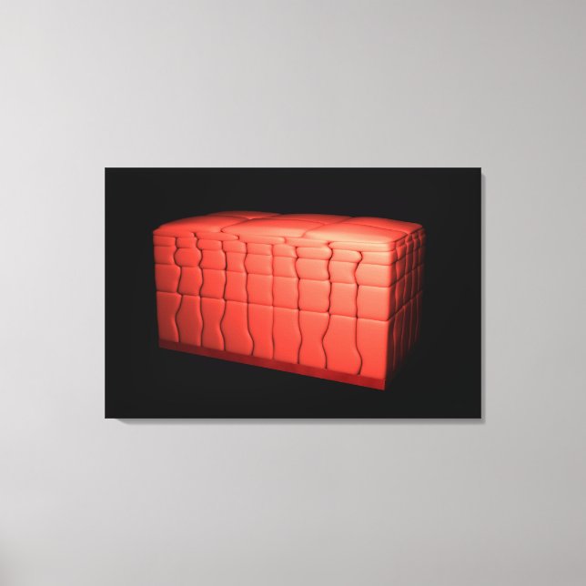 Koncept av stratifierat kvadratiskt epitel 1 canvastryck (Framsida)