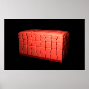 Koncept av stratifierat kvadratiskt epitel 1 poster