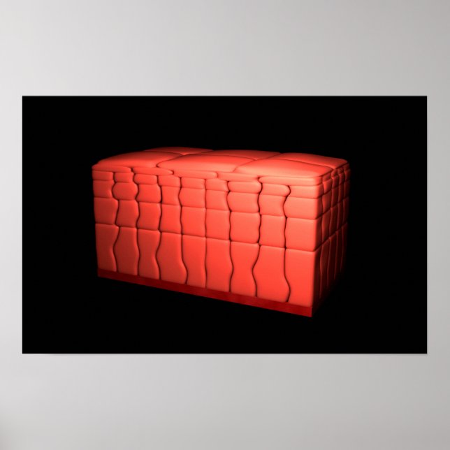 Koncept av stratifierat kvadratiskt epitel 1 poster (Framsidan)