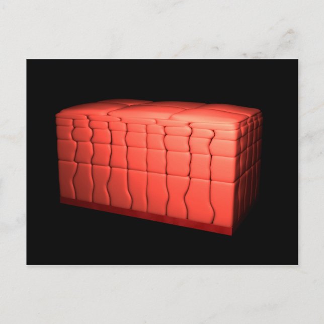 Koncept av stratifierat kvadratiskt epitel 1 vykort (Framsida)