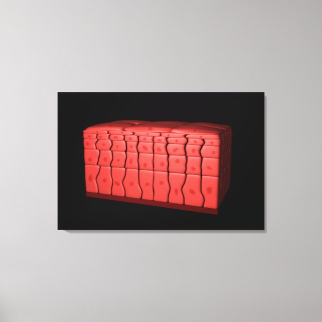 Koncept av stratifierat kvadratiskt epitel 2 canvastryck (Framsida)