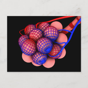 Konceptuell bild av Alveoli 1 Vykort