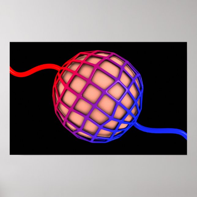 Konceptuell bild av Alveolus Poster (Framsidan)