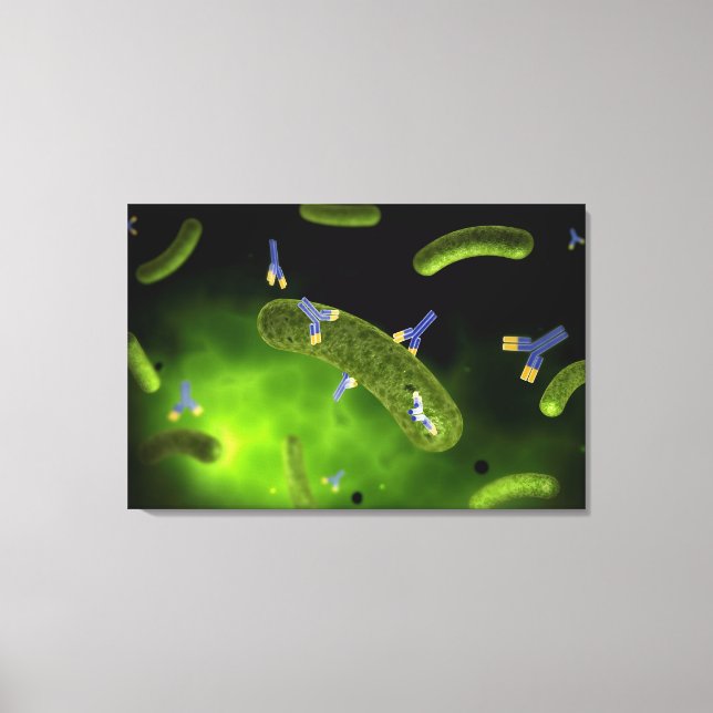 Konceptuell bild av antikroppsdödande bakterier (Framsida)