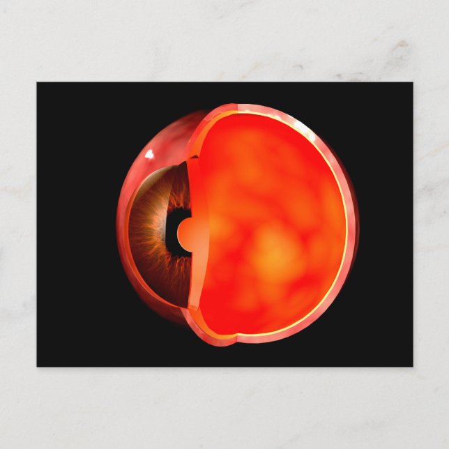 Konceptuell bild av avsnitt 1 i Kor i Öga Vykort (Framsida)