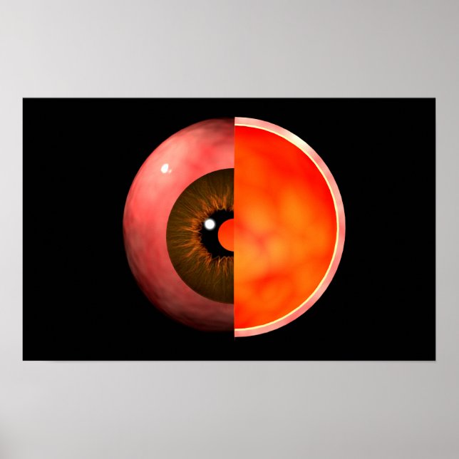 Konceptuell bild av avsnitt 3 i Kor i Öga Poster (Framsidan)