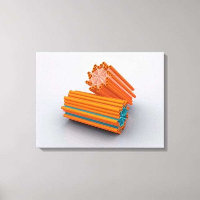 Konceptuell bild av centrioler 2 (Framsida)