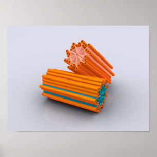 Konceptuell bild av centrioler 2 poster