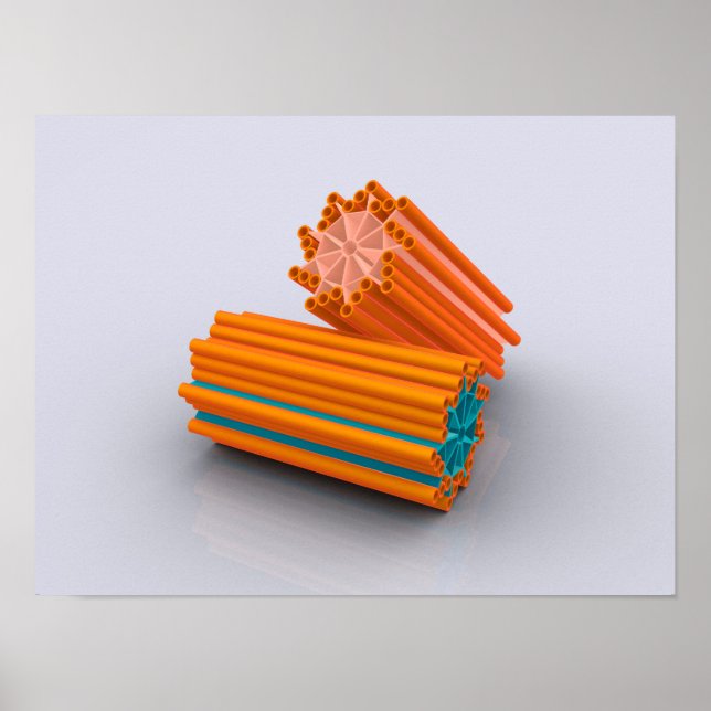 Konceptuell bild av centrioler 2 poster (Framsidan)