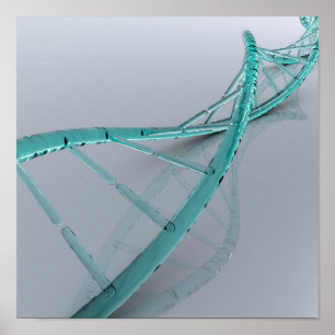 Konceptuell bild av DNA 3 Poster
