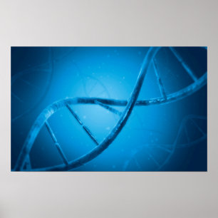 Konceptuell bild av DNA 6 Poster