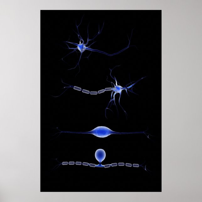 Konceptuell bild av en NEURO 1 Poster (Framsidan)