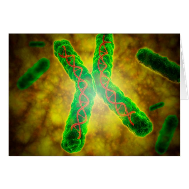 Konceptuell bild av en Telomere Hälsningskort (Framsidan Horizontal)