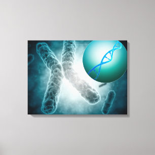 Konceptuell bild av en Telomere som visar DNA