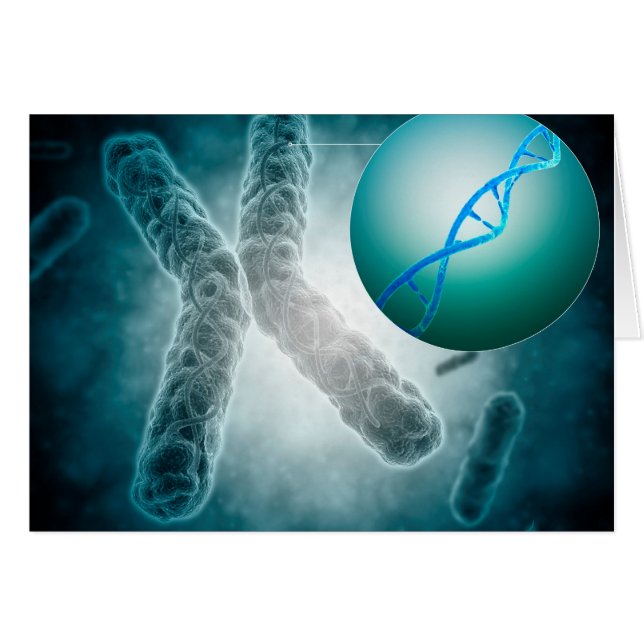 Konceptuell bild av en Telomere som visar DNA Hälsningskort (Framsidan Horizontal)