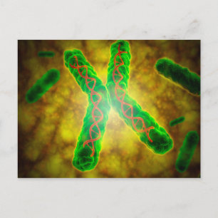 Konceptuell bild av en Telomere Vykort